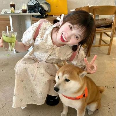 枪花封面