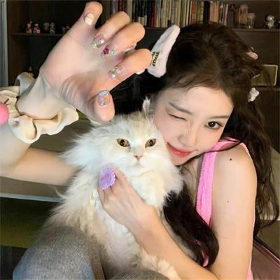 纳斯卡:全速狂飙